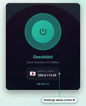 Die VPNRice-App, mit einem Server verbunden