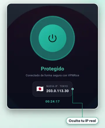 La app VPNRice conectada a un servidor