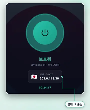 서버에 연결된 VPNRice 앱