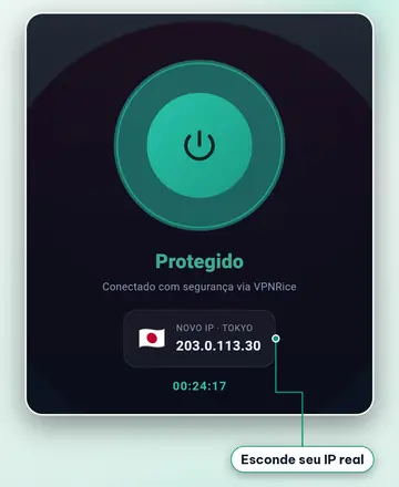 O app VPNRice conectado a um servidor