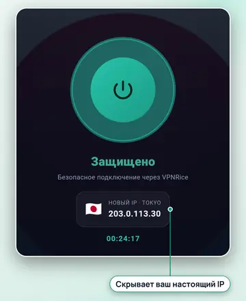 Приложение VPNRice, подключённое к серверу