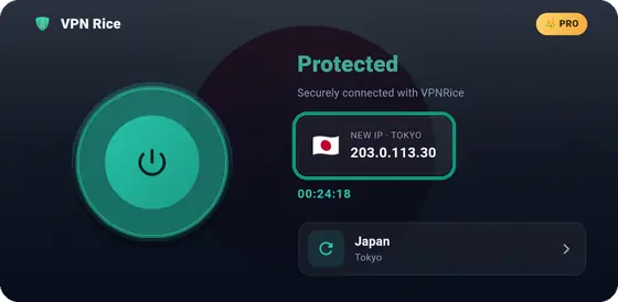 The VPNRice app connected to a server